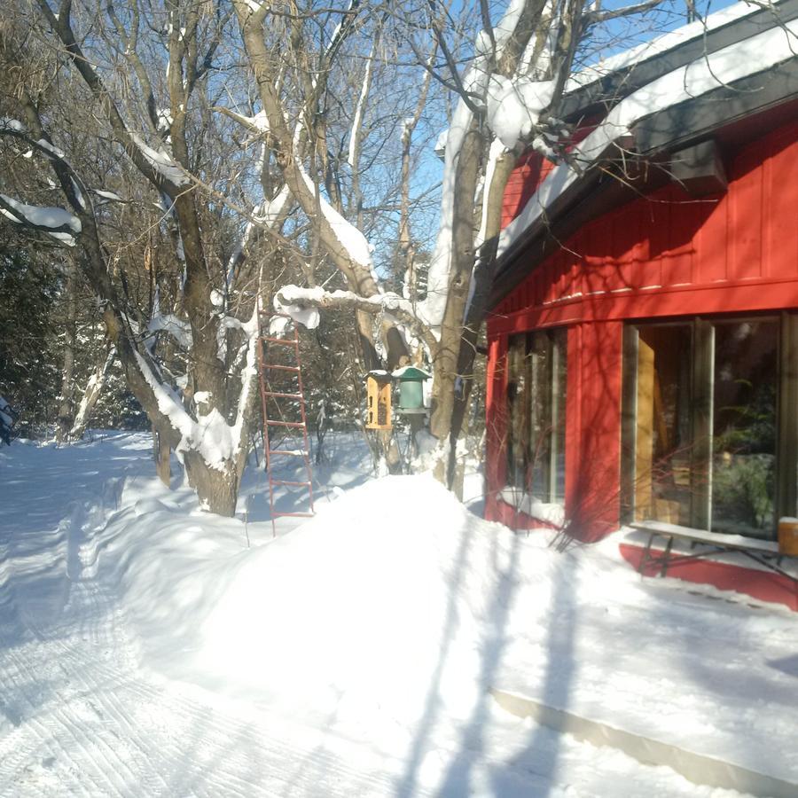 The Retreat House Blue Mountain Hotell Blue Mountains Eksteriør bilde